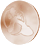 FFR Token 18 Tan.png