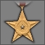 BSM achievement silver star.jpg