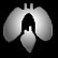 DX Augiconheartlung.jpg
