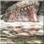 RE4 Do Not Shoot the Water! achievement.jpg