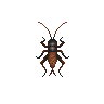 ACWW Cricket.png