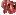 Pardus Human intestines.png