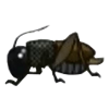 DogIsland cricket.png