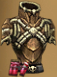 Torchlight Item Scimatron's Strength.png
