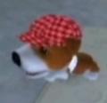 DogIsland raymond.jpg