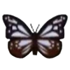 DogIsland chestnuttigerbutterfly.png