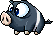 MS Black Pig.png
