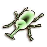 LoZ TP male beetle.png