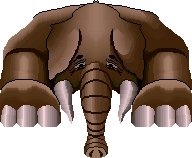 WD Sphinmoth.gif