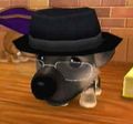 DogIsland drhill.jpg