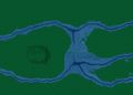TACC-Core-05-Slugging and Slogging.jpg