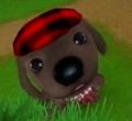 DogIsland lesley.jpg