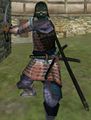 Mount&Blade strange set.jpg