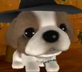 DogIsland obaba.jpg