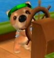 DogIsland bernard.jpg