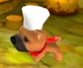 DogIsland rohme.jpg