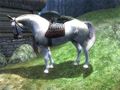 ES4Oblivionwhitehorse.jpg