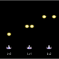 Zanac Special5 diagram.png