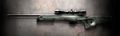 CA L96A1.jpg