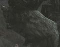 ShadowoftheColossus03.jpg
