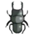 DogIsland littlestagbeetle.png