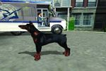 Dog's Life Doberman.jpg