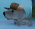 DogIsland siegfried.jpg