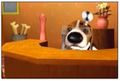 Dog Island MeetPotan.jpg
