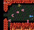Abadox Stage 1-2 start.png
