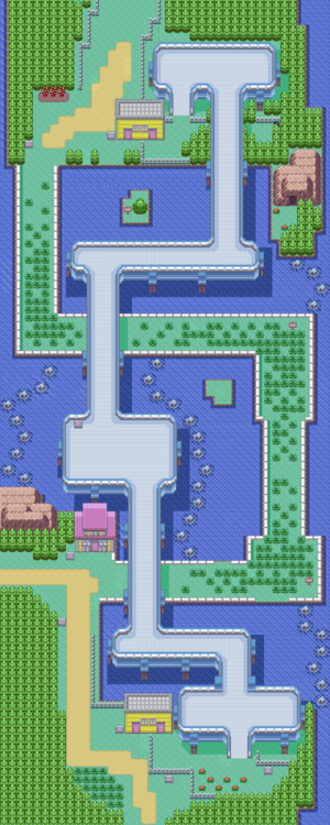 Route 110 is a route between Slateport City and Mauville City. There are a bunch of new Pokémon you can catch here, as well as lots of trainers to battle.