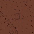 TABT-Core-Long-Map3.jpg