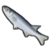 DogIsland kingfish.png