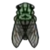 DogIsland whitewingcicada.png