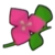 DogIsland bougainvillaeaflower.png