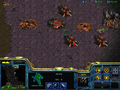 SC Shadow Hunters Cerebrate 2.png