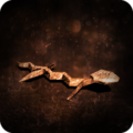 Heavy Rain lizard trophy.png