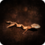 Heavy Rain lizard trophy.png