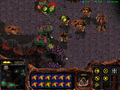 SC Culling Main base.png