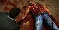 Dead Rising hatchet man 2.jpg