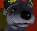DogIsland rode.jpg