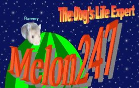 Melon247 Logo.jpg