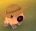 DogIsland isaki.jpg