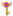 Big Key
