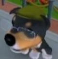 DogIsland sergio.jpg