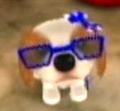 Dog Island Mary Theresa.jpg