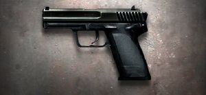 CA USP.jpg