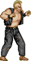 SF1Birdie.png