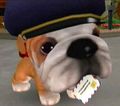 Mr. Postman