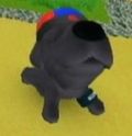 DogIsland yan.jpg