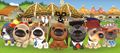 Dog Island group shot.jpg